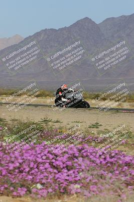 media/Feb-04-2023-SoCal Trackdays (Sat) [[8a776bf2c3]]/Turn 15 Inside Blooming (1050am)/